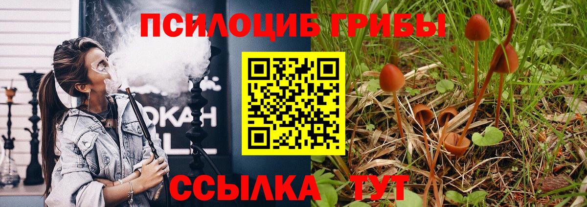 Псилоцибиновые грибы MAGIC MUSHROOMS Коломна